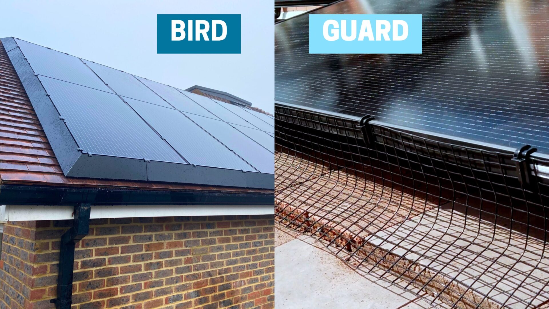 Solar panel bird proofing mesh installed on a UK roof